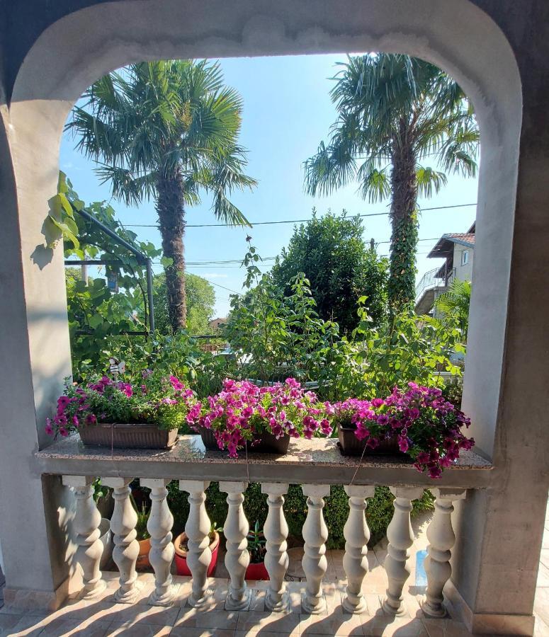 Apartman Palma Marinici  Exterior photo